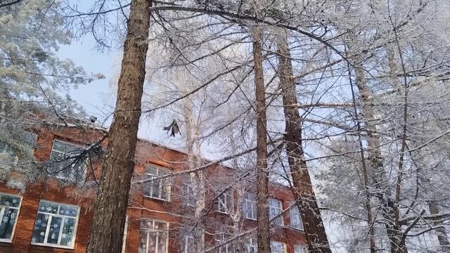 нечего смотреть онлайн