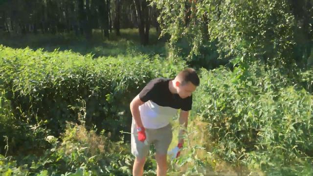 За крапивой / Stream смотреть онлайн