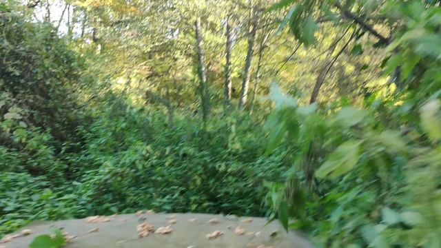 VID_20230930_153309 смотреть онлайн