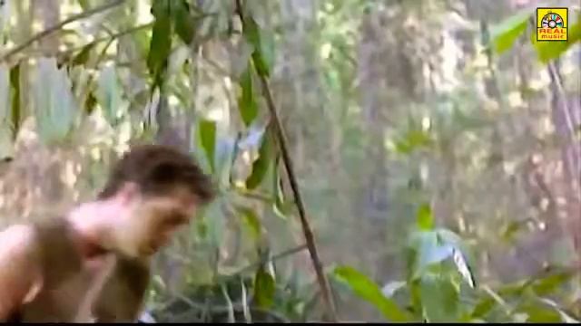 Anaconda 4 Full Movie Hollywood  In Hindi Dubbed