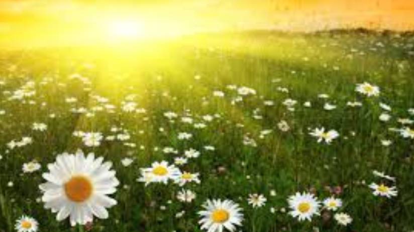 Каким будет лето 2025 года после аномально жаркой зимы смотреть онлайн