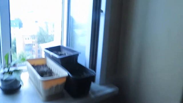 Лифт ЩЛЗ (2000 Г.В) V=1 М/C, Грузоподъемность Q=420 КГ смотреть онлайн