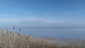 Природа наблюдения показывают VID_20250215_095914