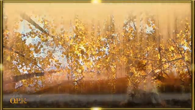 ЖУРАВЛИ  муз Валерий Ниминущий  стихи Ирина Стефашина исп Евгений Шувалов