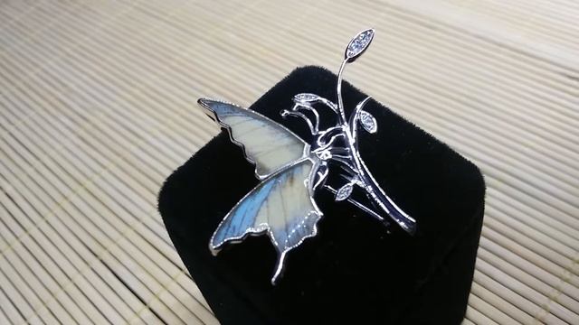 Navia Jewelry Real Butterfly Wing Danis danis Brooch Pendant (NB-42T) смотреть онлайн