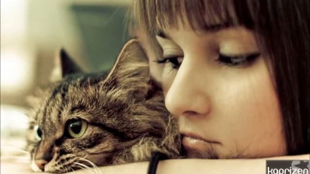 Да Защитим Животните/TO PROTECT THE ANIMALS смотреть онлайн