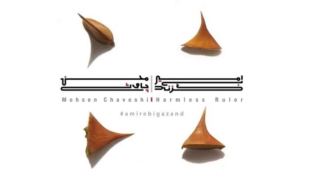 Mohsen Chavoshi-Dele Man (Rumi)