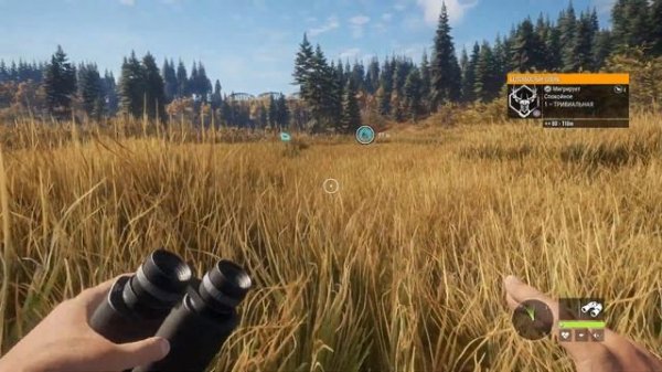 Прохождение theHunter: Хоуп - Гость + Белохвостый олень