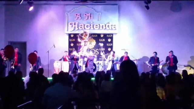Gregorio Saavedra y La Banda Agave Azul смотреть онлайн