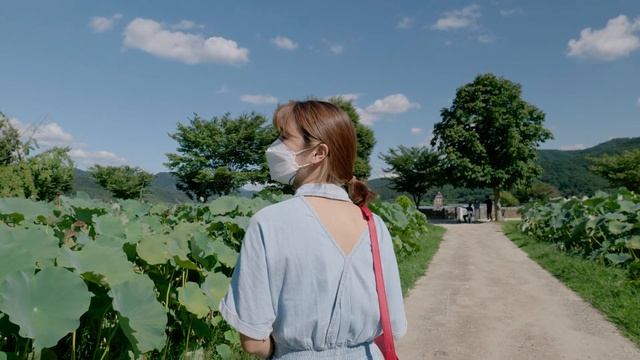 참새도 반한 연핫도그 투어 | 두물머리 세미원 | 경기도 양평 | 오늘도플러스 смотреть онлайн