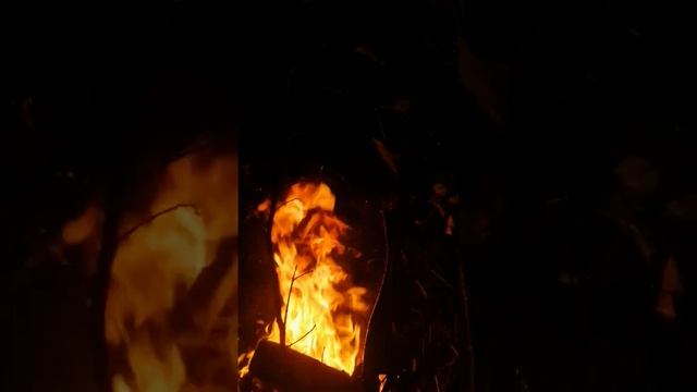 Removing Vespa Affinis смотреть онлайн