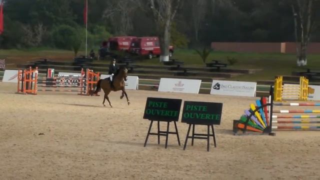 Sempre Avanti - Dar Es Salam - 14/01/2012 - Cat 4 смотреть онлайн