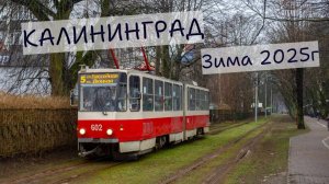Калининградский трамвай в феврале 2025г