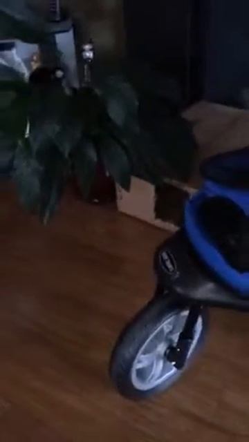Whitefoot's pet stroller смотреть онлайн
