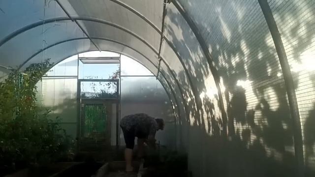 Опять сею. Прокатились в Светофор Ну, и мочалка! смотреть онлайн