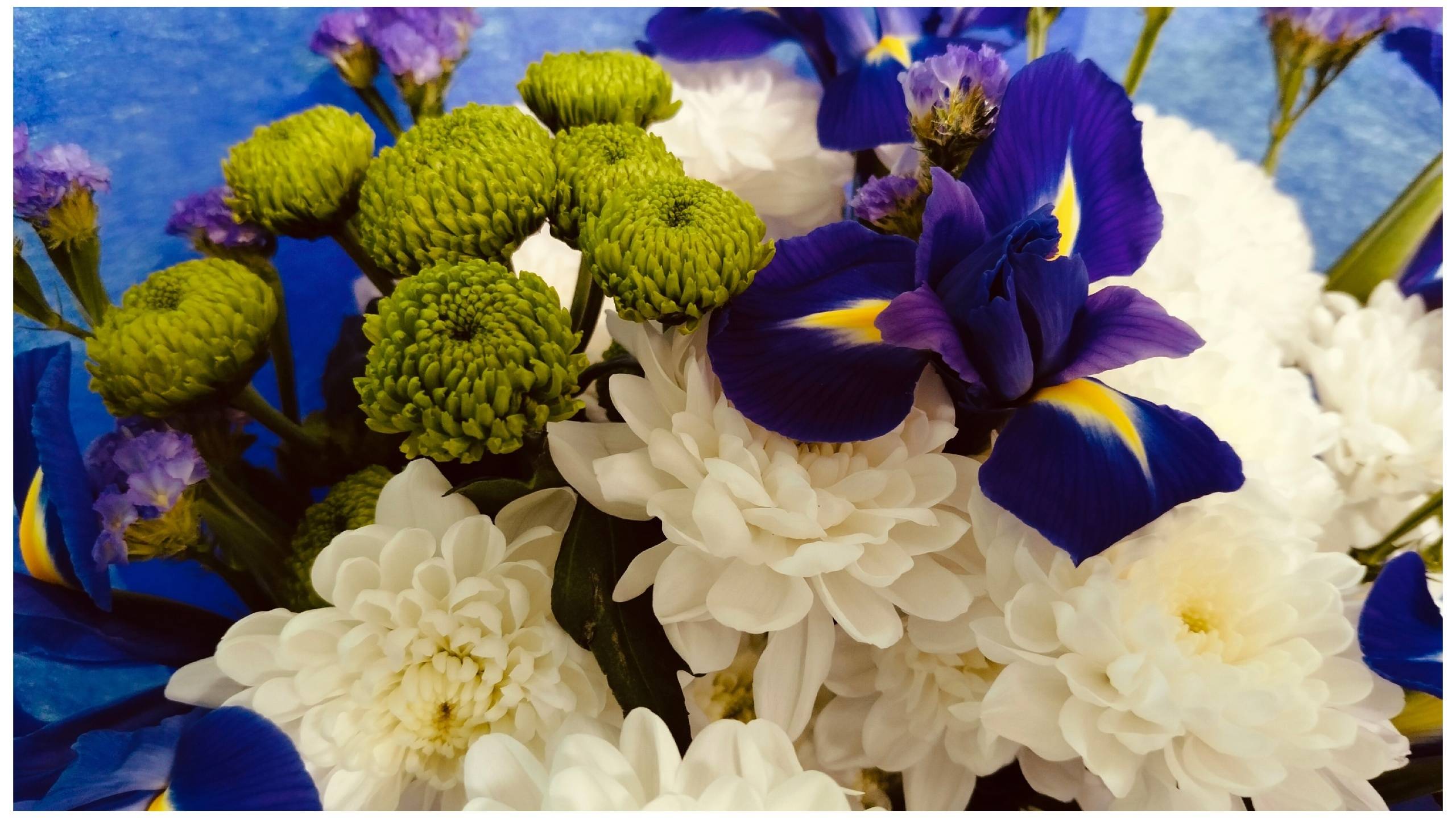 48 половинку сбросим.Работаем и отмечаем.Западня для мужа. смотреть онлайн