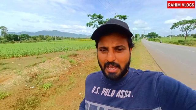 സൂര്യകാന്തി പൂത്തു|ഗുണ്ടൽപേട്ട|muthanga|bandhipur|muthumala|sunflower Gundelpet|karnataka смотреть онлайн