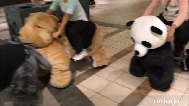 Black Friday - Momjo Hits the Mall! || Momjo Out and About смотреть онлайн