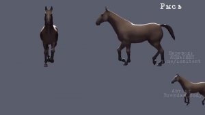 Биомеханика аллюров лошади. Шаг, рысь, кентер, галоп