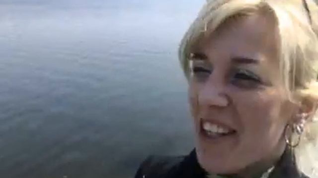 о жизни уток, Харькова и Антрацита))) смотреть онлайн