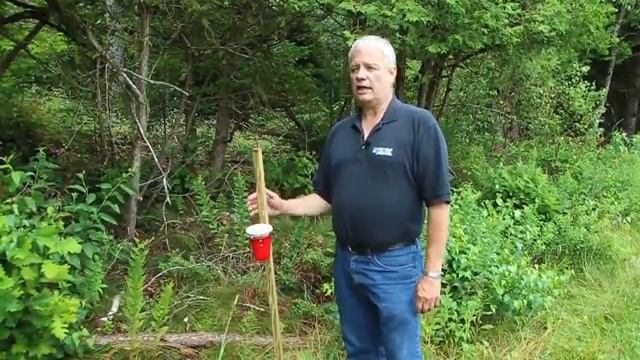 Defending Against Spotted Wing Drosophila смотреть онлайн