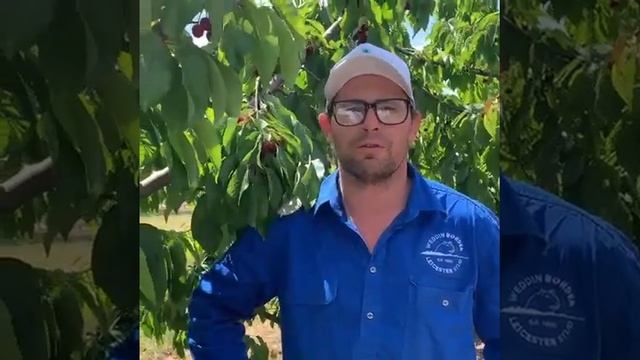 2023 Ballinaclash Cherry Seasonal Update смотреть онлайн