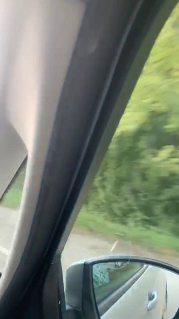 СЧАСТЛИВЫЕ И ДОВОЛЬНЫЕ ПОЕХАЛИ ДОМОЙ.... 🤪