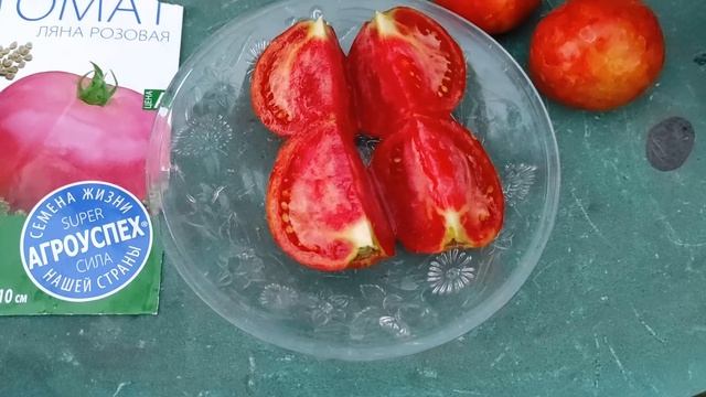 Разочарованию нет предела! Томат сорт Ляна розовая. Ожидания и реальность #помидоры #томаты #ляна смотреть онлайн