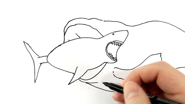 How to draw Bloop vs Megalodon смотреть онлайн