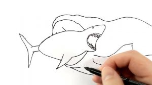 How to draw Bloop vs Megalodon