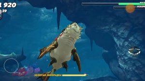 спасаем детёнышей акул в хангри Шарк за древнего мегалодона