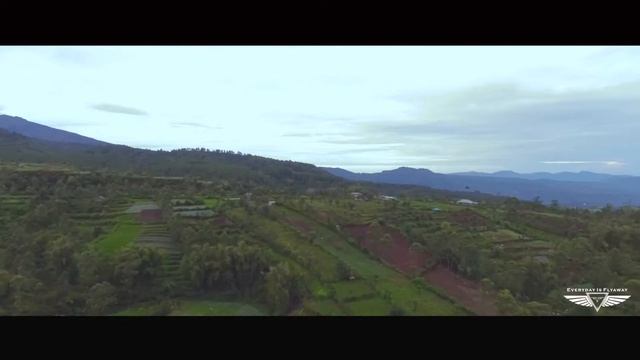 MALINO AERIAL VIDEO смотреть онлайн