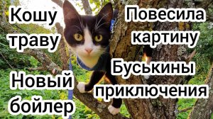 Кошу траву. Повесила картину. Новый бойлер. Буськины приключения.