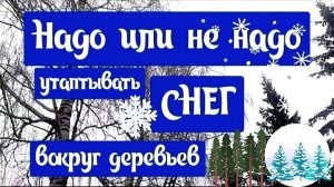 Ваш сад зимой. Зимовка деревьев
