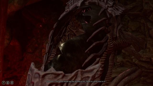 BG3 Tav discovers more clues about her смотреть онлайн