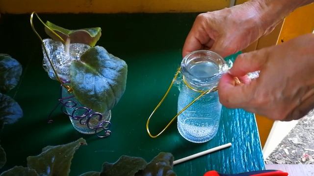 Easy Way to Root African Violets смотреть онлайн