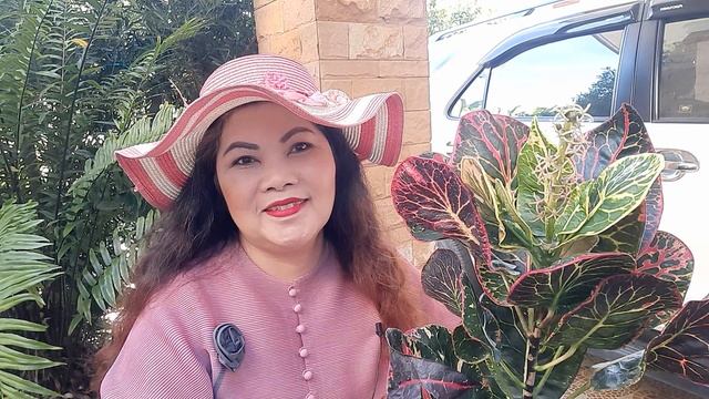 โกสนพันธ์พันธ์บางกอก ใบด่างสวย.EP.266.นิยมกะแสแรงไม่ตก смотреть онлайн