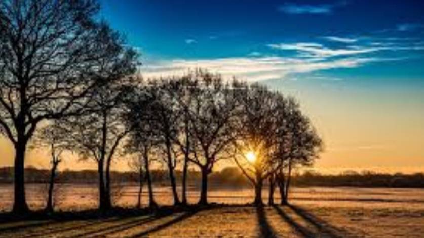 Погодные аномалии в Калужской области март принесет тепло, а лето придет раньше смотреть онлайн