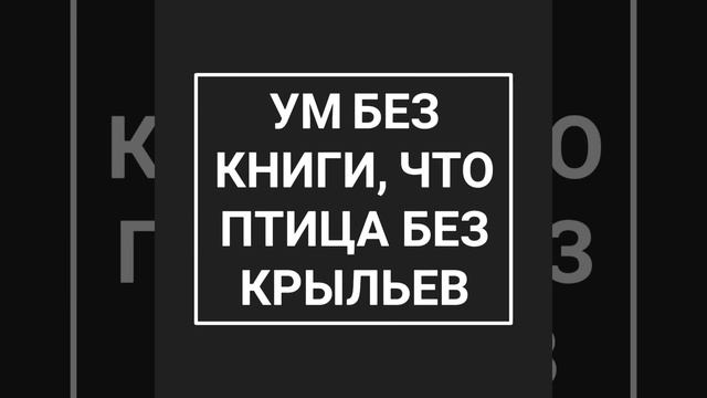 Ум без книги, что птица без крыльев смотреть онлайн