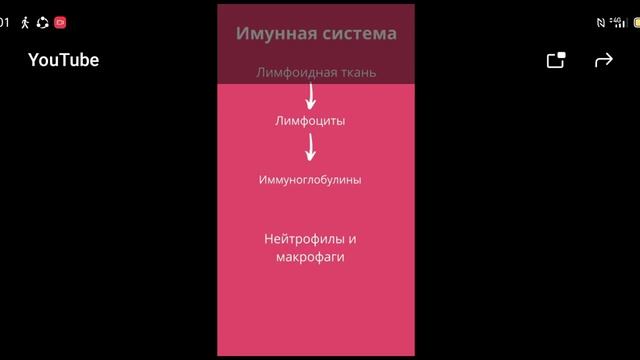 Имунная система смотреть онлайн