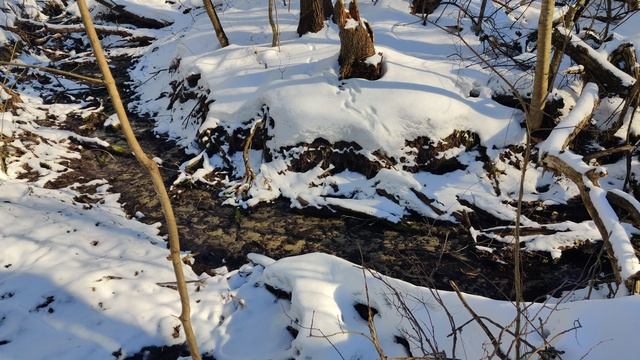 VID_20240224_144507 смотреть онлайн