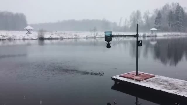 Автоматическая кормушка для водоема смотреть онлайн