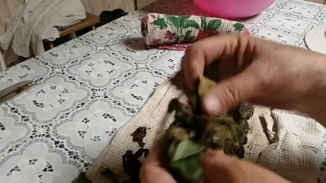 13 июля 2022 г. смотреть онлайн