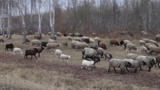 Моє рідне село смотреть онлайн