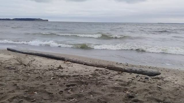 картина смотреть онлайн
