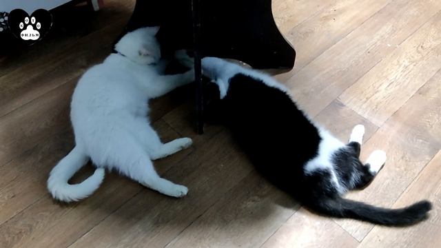Восемьдесят пятая серия смотреть онлайн