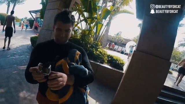 Horrifying Shark Attack & Leap Of Faith experience - Atlantis Dubai смотреть онлайн