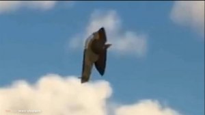 Странный НЛО в Американском небе февраль 2025