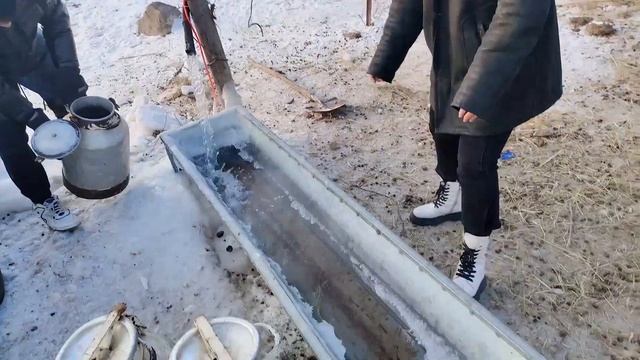 牧区冬季用水取暖都咋办？花8000买10吨煤烧火供暖，提桶上山拉水【边境阿莉娅】 смотреть онлайн