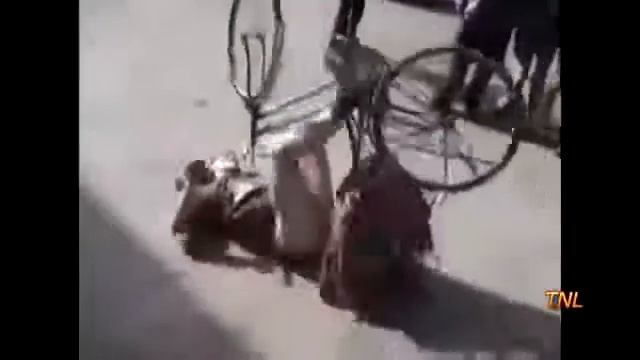 Приклы России смотреть онлайн